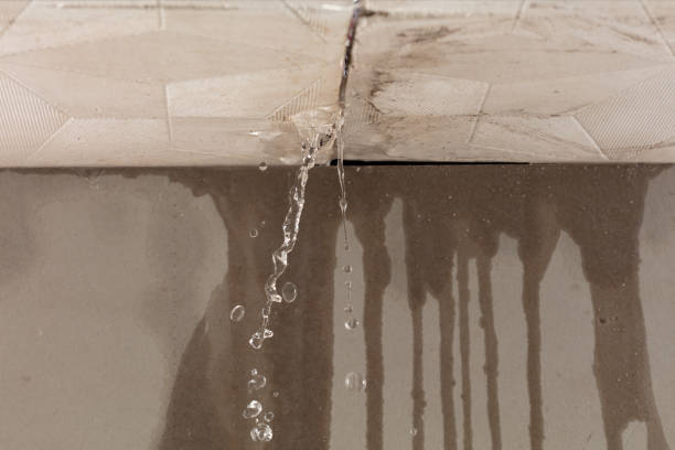 Professional Burst Pipe Cleanup technician working in New Boston, TX